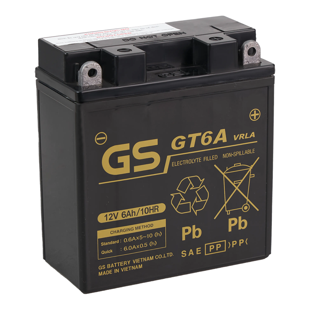 Ắc quy GS GT6A 12V 6Ah